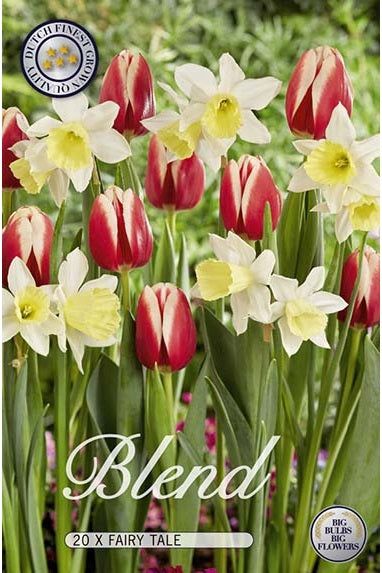 Tulipan/Narcissus Fairy Tale 20-pakning